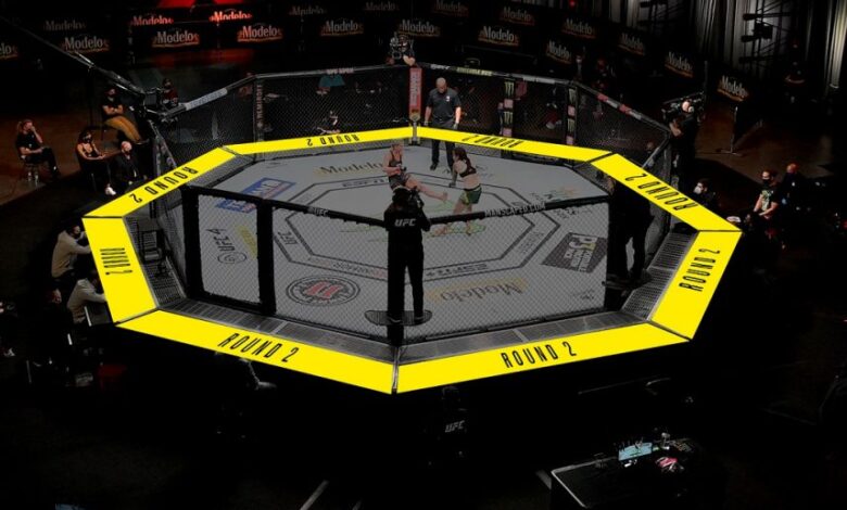 sports Org with an Octagon