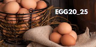 Understanding Egg20_25: A Comprehensive Overview