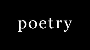 poetry clothing